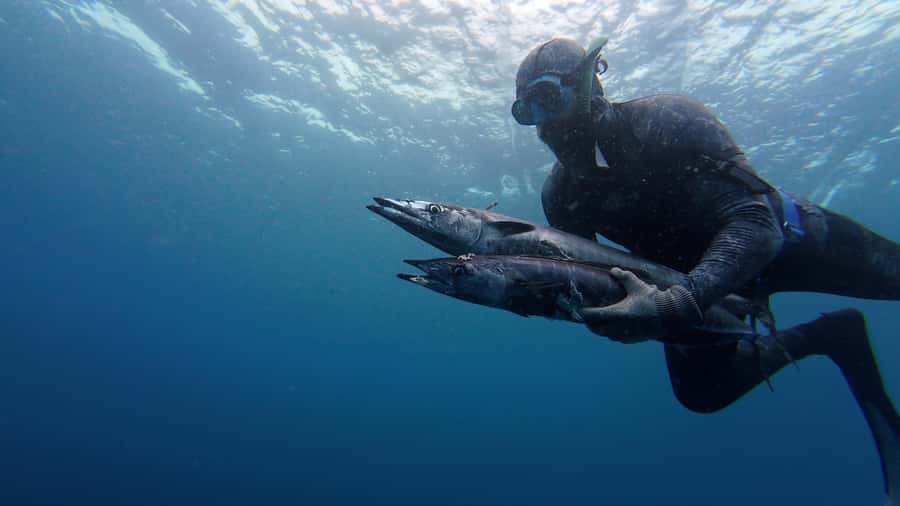 Amed: Spearfishing, Freediving and Catch & Cook Adventure - The 30-minute boat ride from Amed