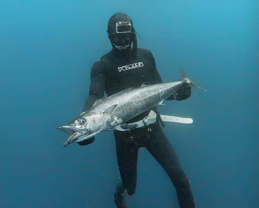 Amed: Spearfishing, Freediving and Catch & Cook Adventure - Safety, fitness, and who should skip it