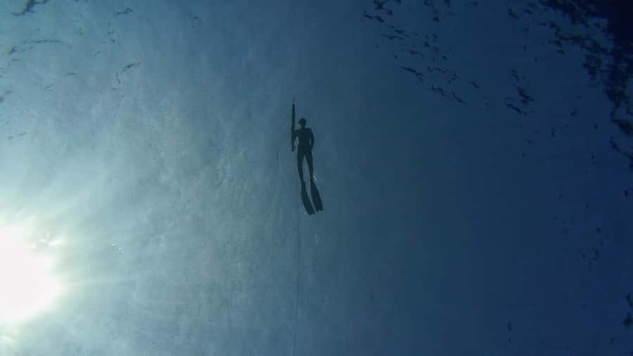 Amed: Spearfishing, Freediving and Catch & Cook Adventure - Timing, meeting point, and practical details