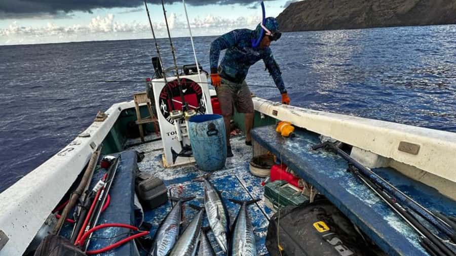 Ancestral fishing: Fishing with an experienced Rapa Nui - Hanga Piko offers a quick look at the working coast