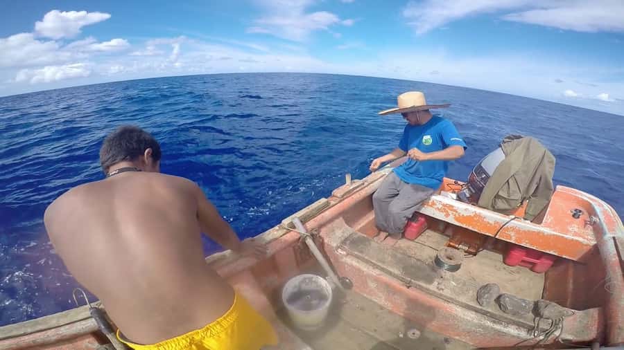 Ancestral fishing: Fishing with an experienced Rapa Nui - Hanga Roa pickup keeps the morning or afternoon easy