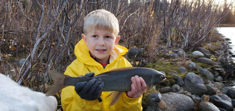 Anchorage: Full-day guided fly-fishing with Hotel Pickup - Six hours beside the water