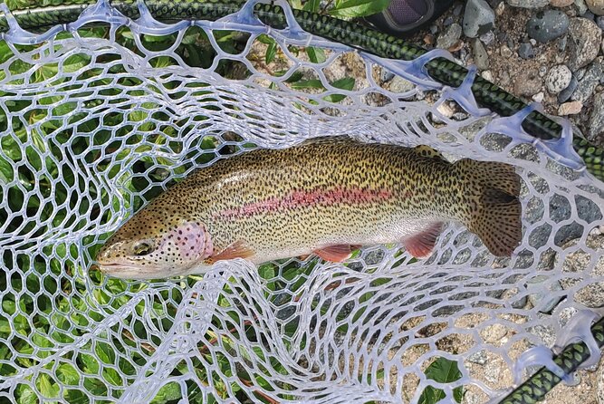 Anchorage Guided Fly-fishing with transportation - Getting fitted with hip boots and fishing gear
