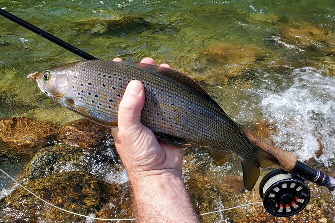 Anchorage Guided Fly-fishing with transportation - Physical effort, access, and comfort