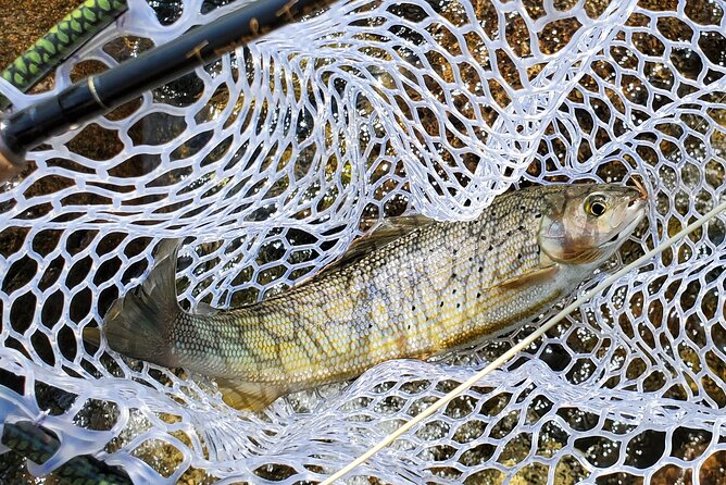 Anchorage Guided Fly-fishing with transportation - Which guide style suits your group