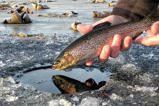 Anchorage Ice Fishing Adventure with transportation - Key points at a glance