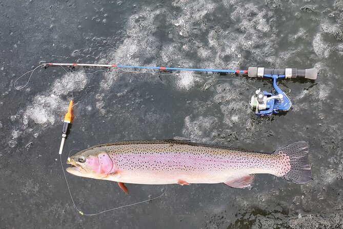 Anchorage Ice Fishing Adventure with transportation - Why the guide matters