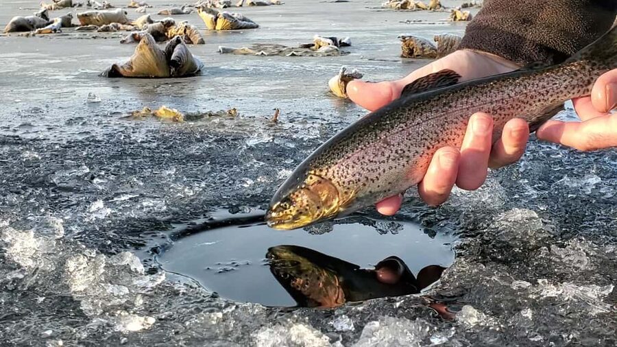Anchorage: Ice Fishing Trip With Transportation - At a glance