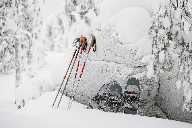 Arctic Day with Ice Fishing and Floating - Is $287.16 good value?