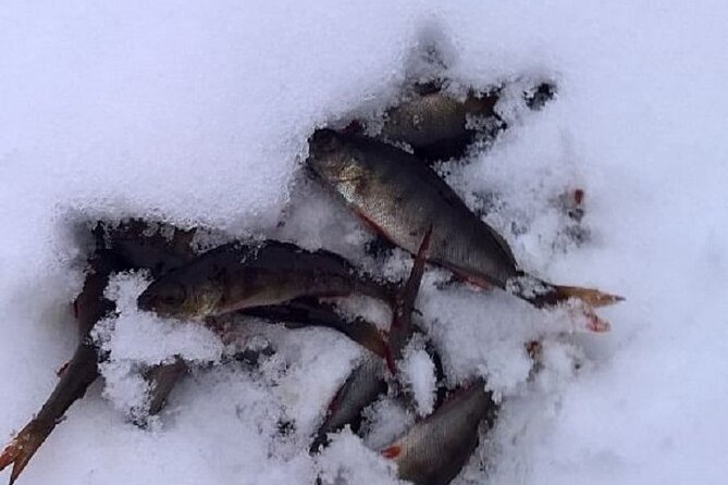 Arctic Day with Ice Fishing and Floating - Snowshoeing through the Arctic forest