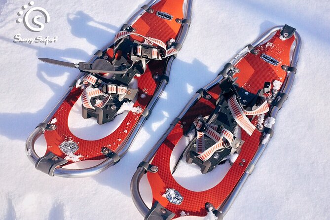 Arctic Ice Fishing by Snowshoe - Who will enjoy this outing most