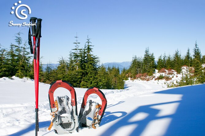 Arctic Ice Fishing by Snowshoe - What the $237 price really covers