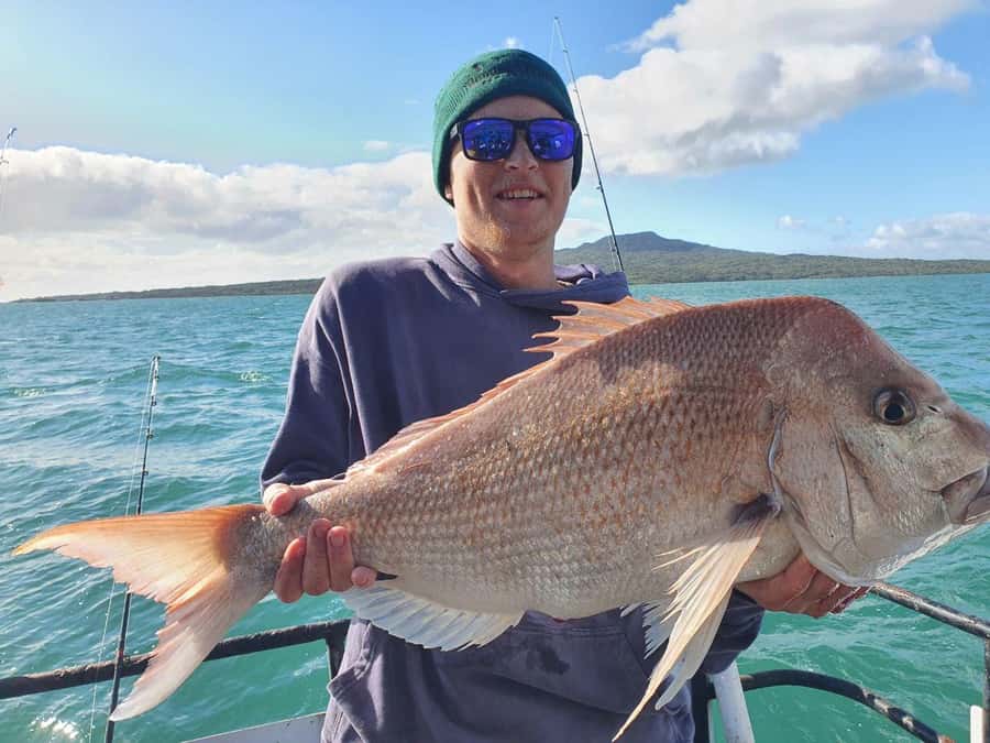 Auckland: Twilight Fishing Charter 5pm - 9:30pm - Key points before you cast off