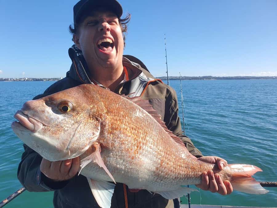 Auckland: Twilight Fishing Charter 5pm - 9:30pm - Setting up for snapper, kahawai, and gurnard