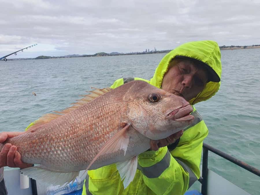 Auckland: Twilight Fishing Charter 5pm - 9:30pm - Is $40 good value for Auckland?