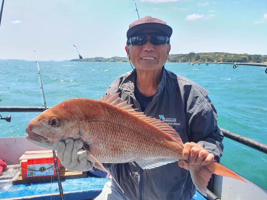Auckland: Twilight Fishing Charter 5pm - 9:30pm - Booking care and the mixed experience