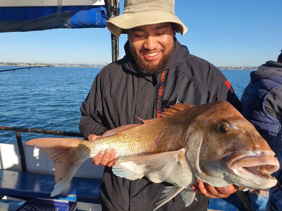 Auckland: Twilight Fishing Charter 5pm - 9:30pm - Leaving Z Pier at Westhaven Marina