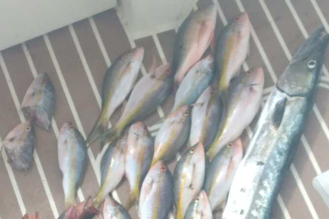 Bahamas Deep Sea Fishing - Slow trolling around the reef