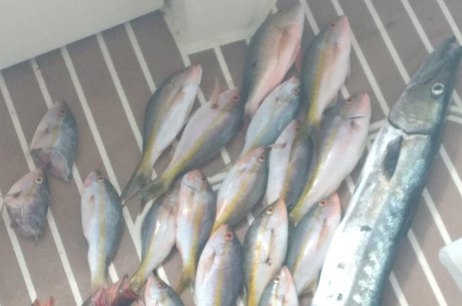 Bahamas Deep Sea Fishing - Comfort, safety, and what to bring