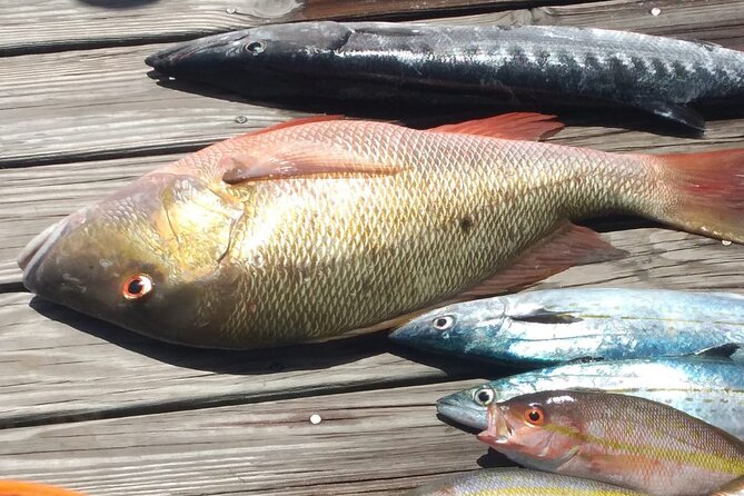 Bahamas Deep Sea Fishing - Bottom fishing over Nassau’s reefs