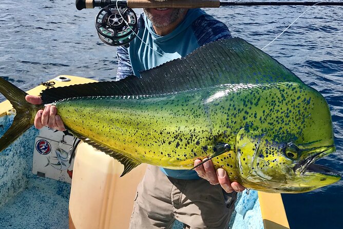 Baja Fishing Dream Roosterfish Dorado Marlin Yellowtail Tuna - Key Points Before You Book