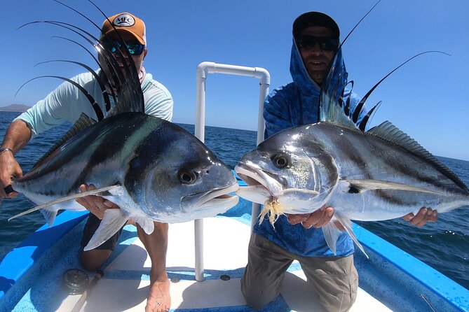 Baja Fishing Dream Roosterfish Dorado Marlin Yellowtail Tuna - Why Ensenada de Muertos Is Worth the Early Start