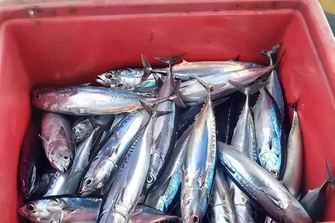 Bali: Fishing Charter Private Boat - From Ubud to the East Bali coast
