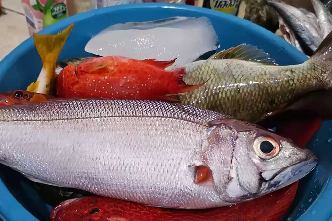 Bali: Fishing Charter Private Boat - What the $90 price includes