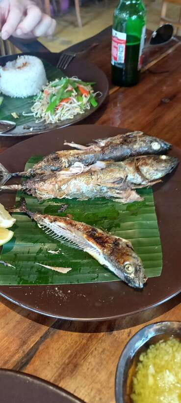 Bali : Fishing Trip & Blue lagoon Snorkeling : All Inclusive - Who will enjoy this most?