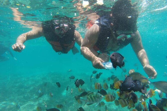 Bali: Fishing trip & Blue Lagoon Snorkeling with Lunch - Mount Agung from the sea