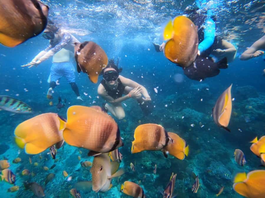 Bali Full Day Trip Fishing, Snorkeling,Eat in Candidasa - Fishing for marlin, grouper, and sailfish
