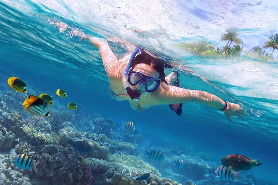Bali/Lovina: Private Fishing Tour with Snorkeling Option - What the $19 price really buys you