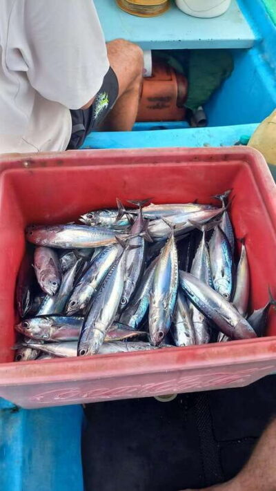 Private Fishing Trip with Lunch
