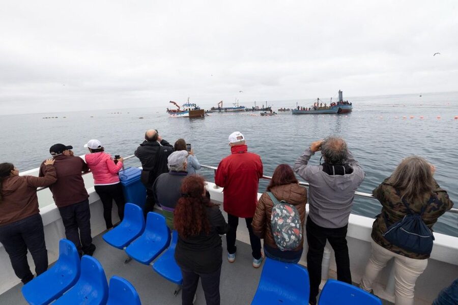 Barbate: Boat Tour to the Almadraba of Conil (Tuna Fishing) - Seeing the catch handled with care