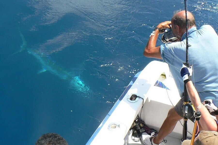 Barcelona: Coastal Fishing Trip - Key points to know before you book