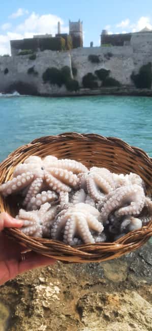 Bari: Fishing experience aboard an authentic fishing boat - Key Points Before You Cast Off