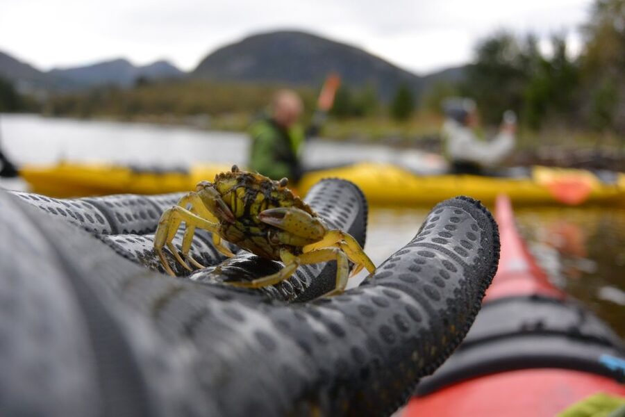 Bergen: Guided Fishing Tour with Outdoor Cooking - The sea house and the cooking lesson