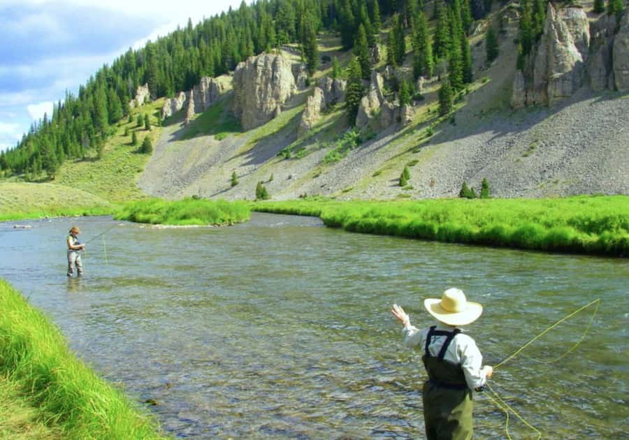 Big Sky: Learn to Fly Fish on the Gallatin River (3 hours) - Key points to know before you book