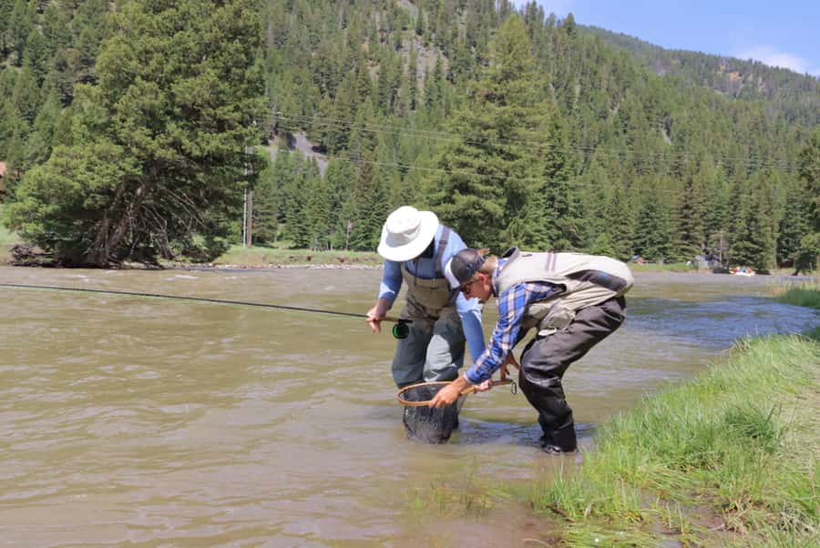 Big Sky: Learn to Fly Fish on the Gallatin River (3 hours) - Your first hour: fish, insects, and river basics