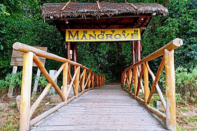 Bintan Island Snorkeling, Kayaking and Fun Fishing Activity - What the $98 price really covers