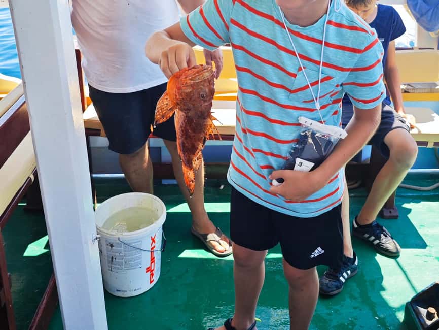 Biograd: Authentic Family friendly Fishing tour in Croatia. - Why this Vrgada fishing trip feels different