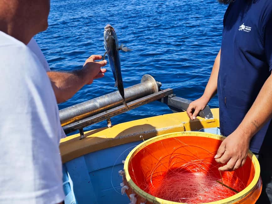 Biograd: Authentic Family friendly Fishing tour in Croatia. - Vrgada island time, swimming, and dolphin watching