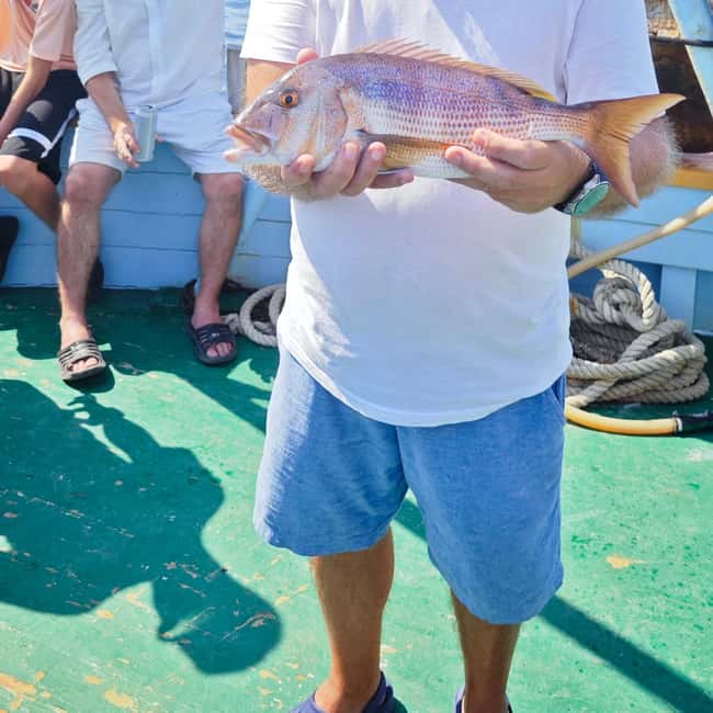 Biograd: Authentic Family friendly Fishing tour in Croatia. - The fish lunch made from your catch