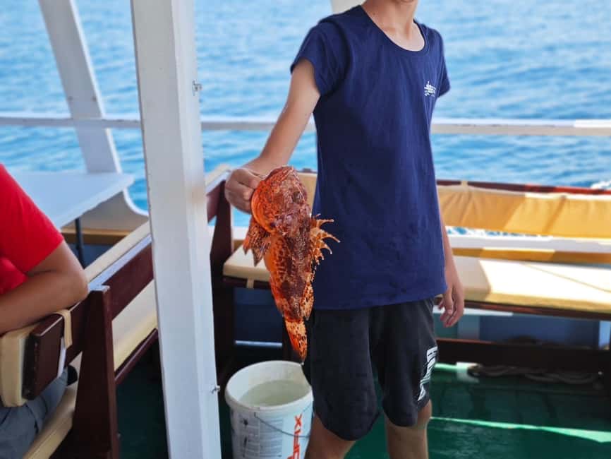 Biograd: Authentic Family friendly Fishing tour in Croatia. - What you get for $70 per person