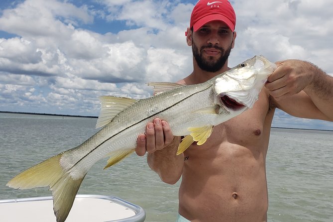 Biscayne Bay Inshore Flats Fishing - A practical half-day plan