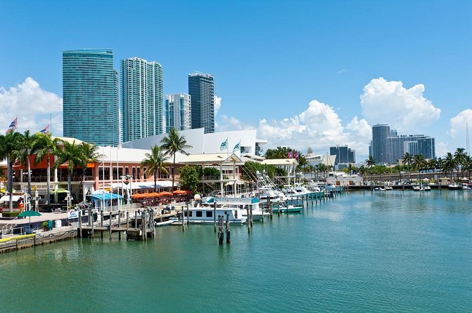 Biscayne Bay Night Fishing Charters - Key Things to Know Before You Book