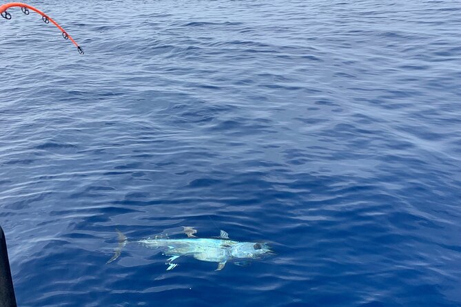 Bluefin Tuna Fishing Charter in the Egadi Islands - Setting out from Trapani for an eight-hour sea day