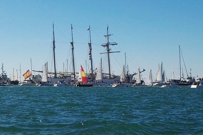 Boat and fishing trips in the Cadiz bay - Six hours of Atlantic fishing