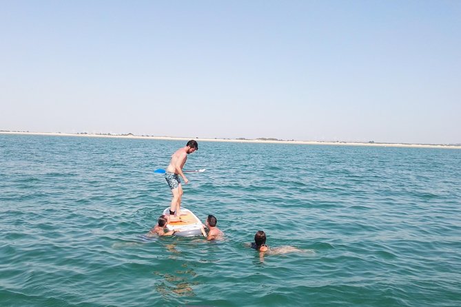 Boat and fishing trips in the Cadiz bay - Cruising across Cádiz Bay toward the city