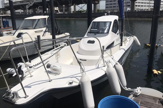 Boat Fishing Activity in Central Tokyo - Is the $405 price good value?